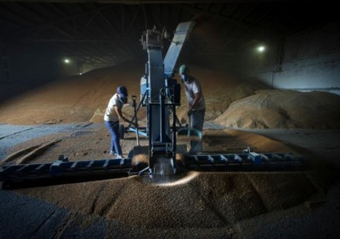 Fransa və Rumıniya Ukraynadan taxıl ixracının genişləndirilməsinə dair saziş imzalayacaq