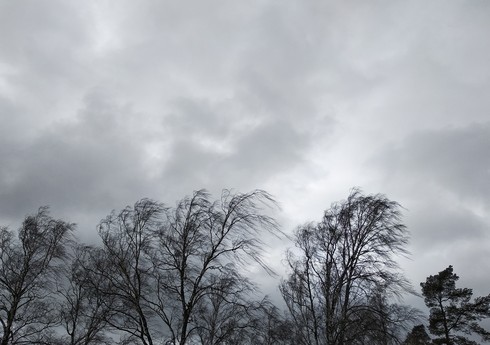 Gəncə şəhərində və ətraf rayonlarda güclü külək əsir, fəsadlar var