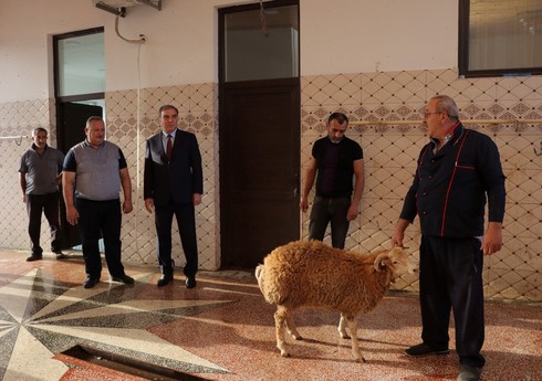 Gəncədə Qurban bayramında heyvan satışı və kəsimi məntəqələrində yoxlama aparılıb Gəncədə Qurban bayramında heyvan satışı və kəsimi məntəqələrində yoxlama aparılıb
