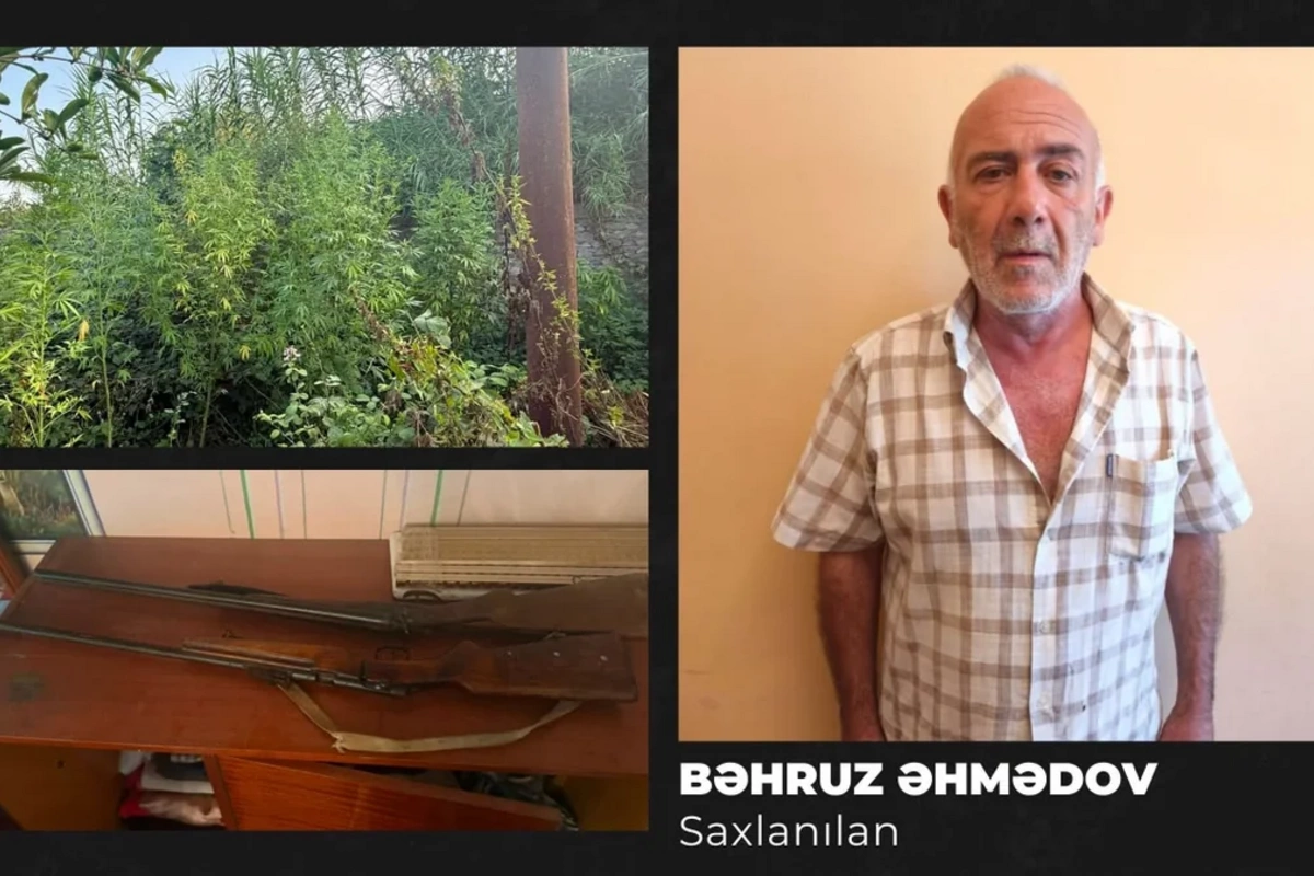 Göyçayda narkotik tərkibli bitkilər yetişdirən şəxs saxlanılıb