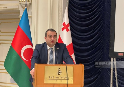 Gürcüstan XİN başçısının müavini: 