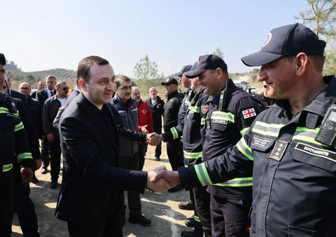 Gürcüstanın xilasediciləri Türkiyədən vətənə qayıdıblar