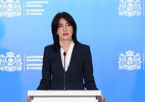 Gürcüstanın XİN başçısı yanvarın 16-da Azərbaycana gələcək