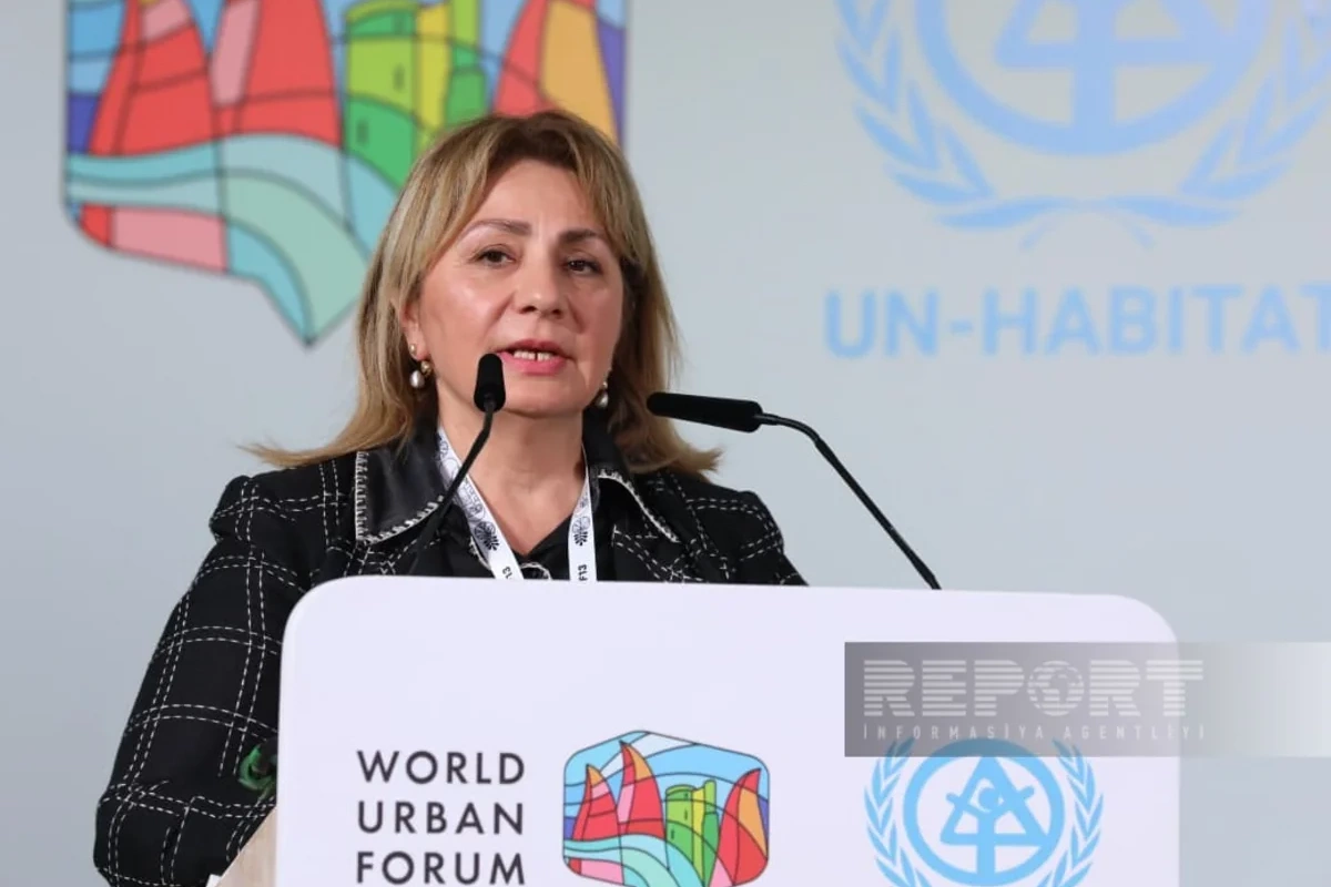 Gülşən Rzayeva: 