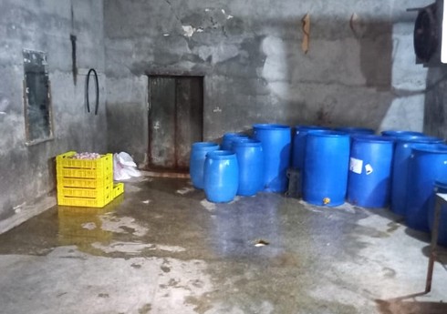 Göygöldə hisə verilmiş balıqların istehsalı müəssisəsində nöqsanlar aşkarlanıb