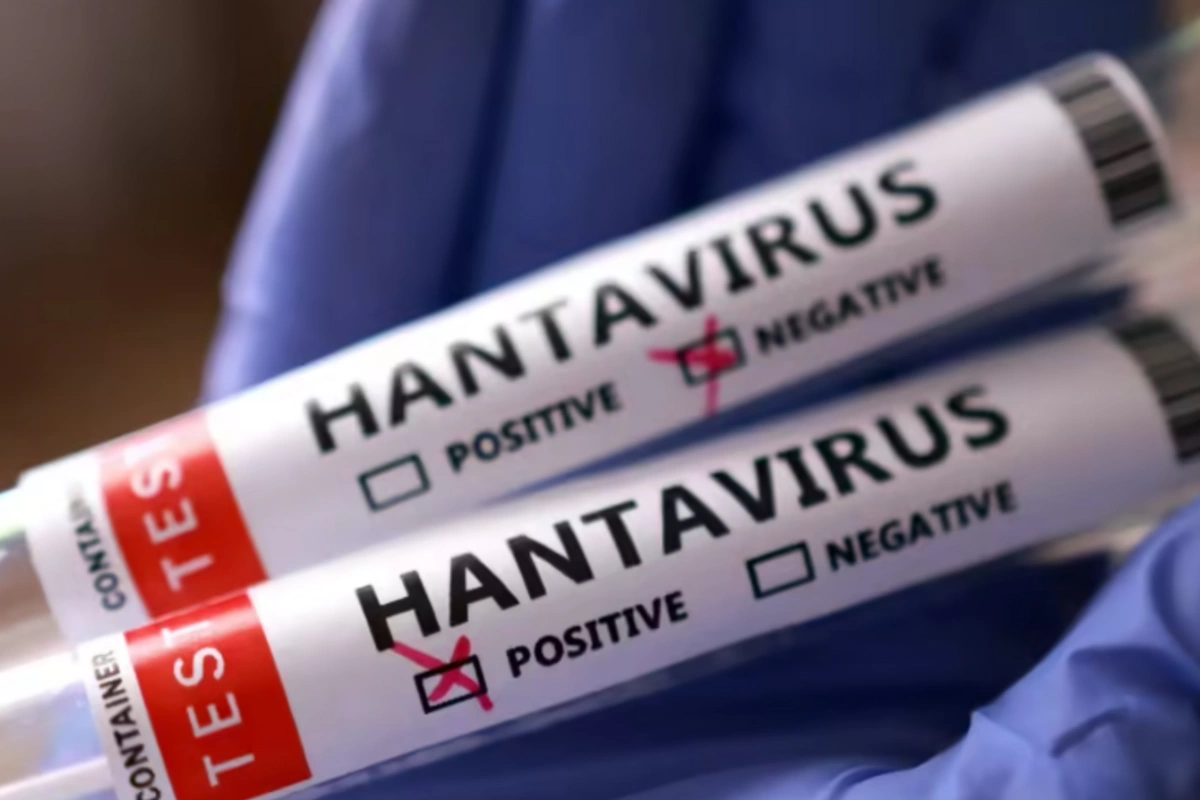 Hande Harmancı hantavirusun Azərbaycanda yayılma riskindən DANIŞDI