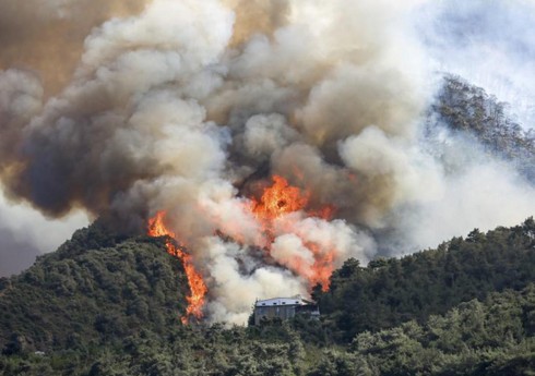 Havay adalarında meşə yanğınları nəticəsində 6 nəfər ölüb