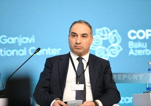 Həbib Mikayıllı: COP29 iqlim dəyişikliyi ilə mübarizəyə əhəmiyyətli təsir göstərəcək