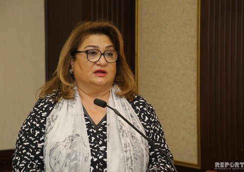 Hicran Hüseynova: “Gələcəkdə sahibkarlıq fəaliyyəti ilə bağlı qanunvericiliyi dəyişmək lazım olacaq”