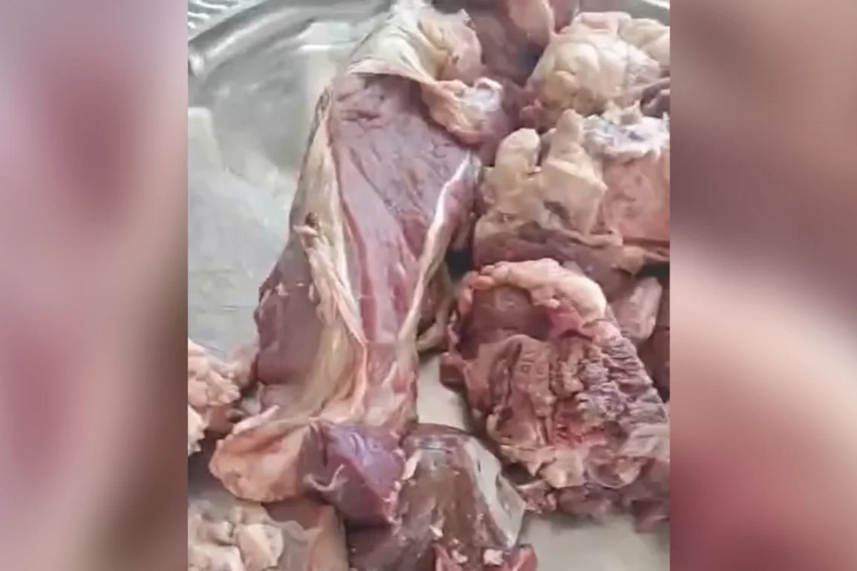İcra hakimiyyətinin göndərdiyi qurban əti köhnə olub?