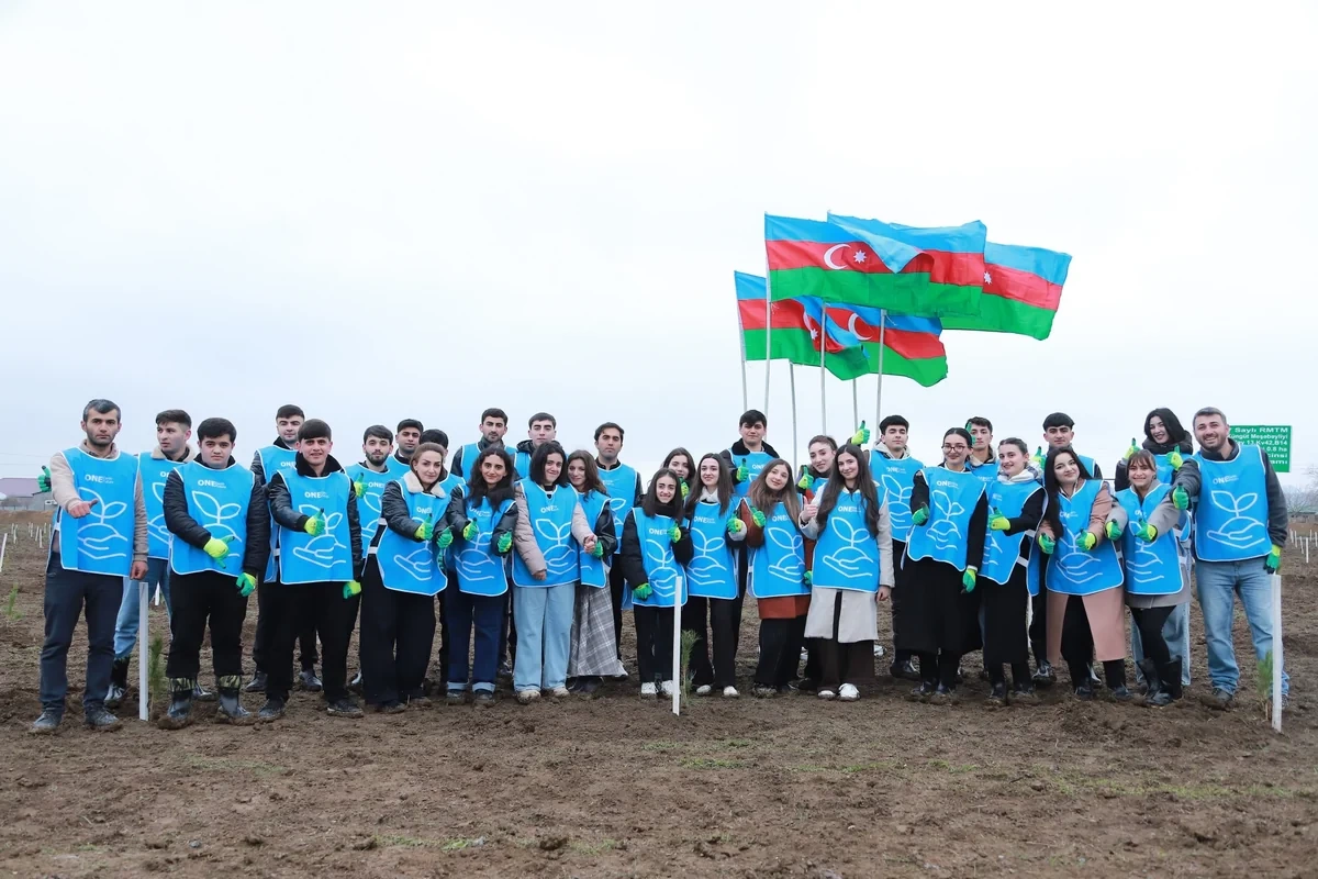 IDEA Şəki və Qəbələdə kütləvi ağacəkmə aksiyası təşkil edib