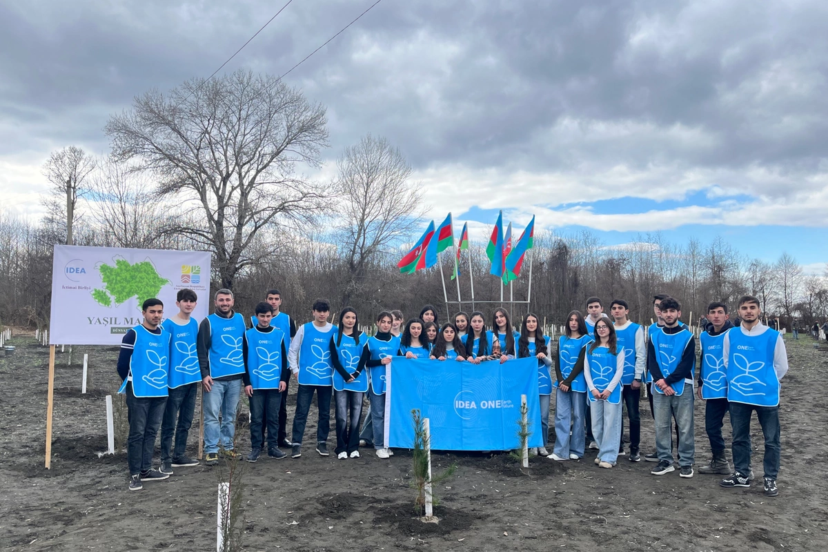 IDEA Zaqatalada kütləvi ağacəkmə aksiyası təşkil edib