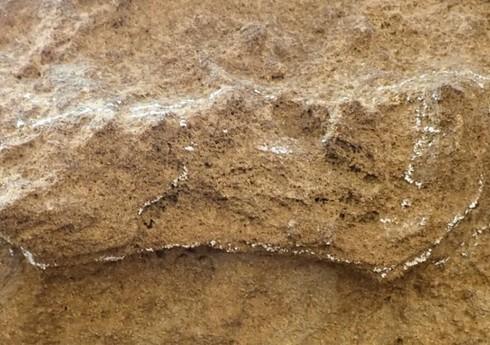 Şimali Amerikada ən qədim insan izləri aşkarlanıb