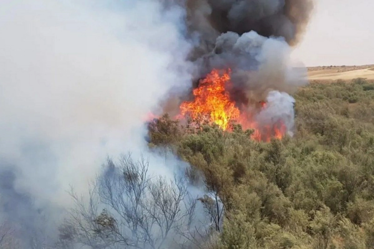 İsraildə meşə yanğınları başlayıb