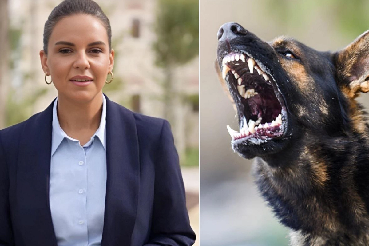 İt aparıcının gözləri önündə 7 yaşlı qızına hücum etdi İt aparıcının gözləri önündə 7 yaşlı qızına hücum etdi