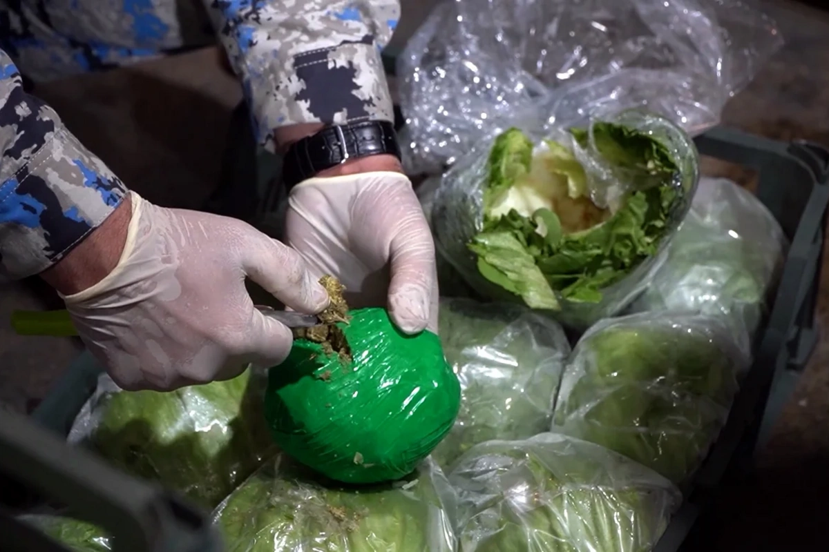 Kahı yükünün içərisindən 22 kiloqramdan çox marixuana aşkarlanıb