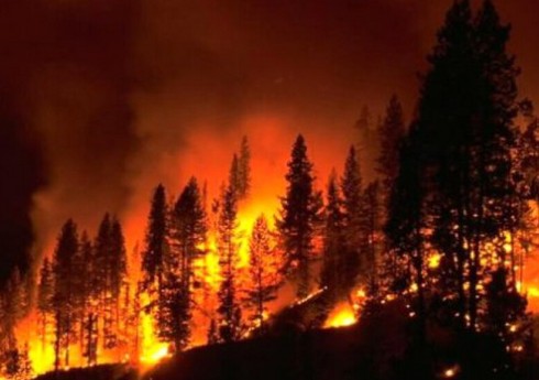 Kanadada meşə yanğınları nəticəsində 4,5 milyon hektar ərazi külə dönüb