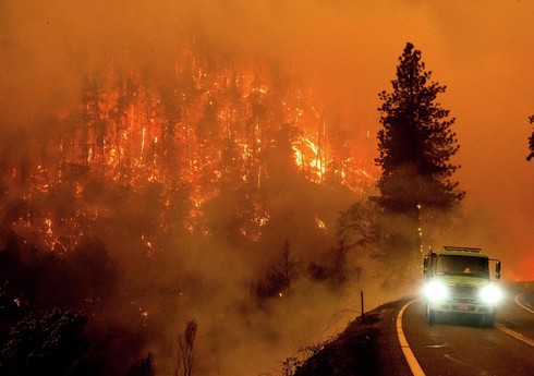 Kanadada meşə yanğınlarında 13 milyon hektar ərazi yanıb