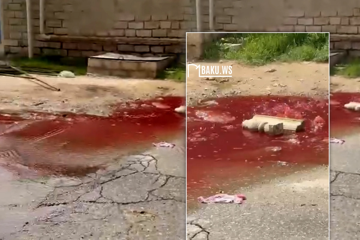 Kanalizasiya xəttinə heyvan qalıqları atılır, qanlı su küçəyə AXIR - AÇIQLAMA