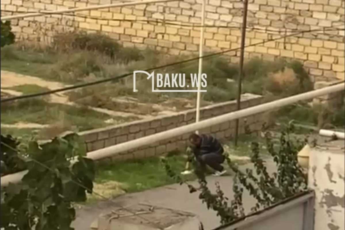 Kişi pişiyin başına olmazın oyunlar gətirdi - Bakı +18 görüntülər