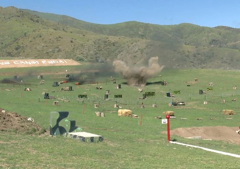 Komando bölmələri praktiki atış çalışmalarını icra edib