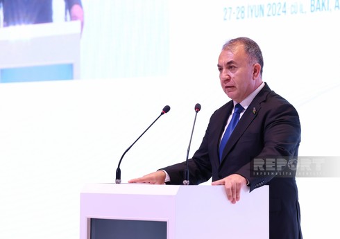 Komitə sədri: Ətraf mühitin çirklənməsi hər il milyonlarla insanın ölümünə səbəb olur