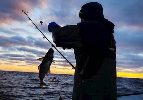 Kürdə balıq tutan şəxs bədbəxt hadisə nəticəsində ölüb