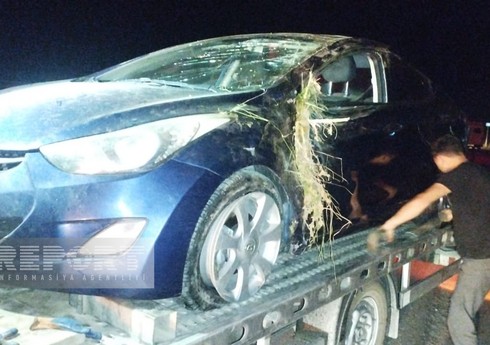 Kürdəmirdə avtomobil aşıb, xəsarət alanlar var