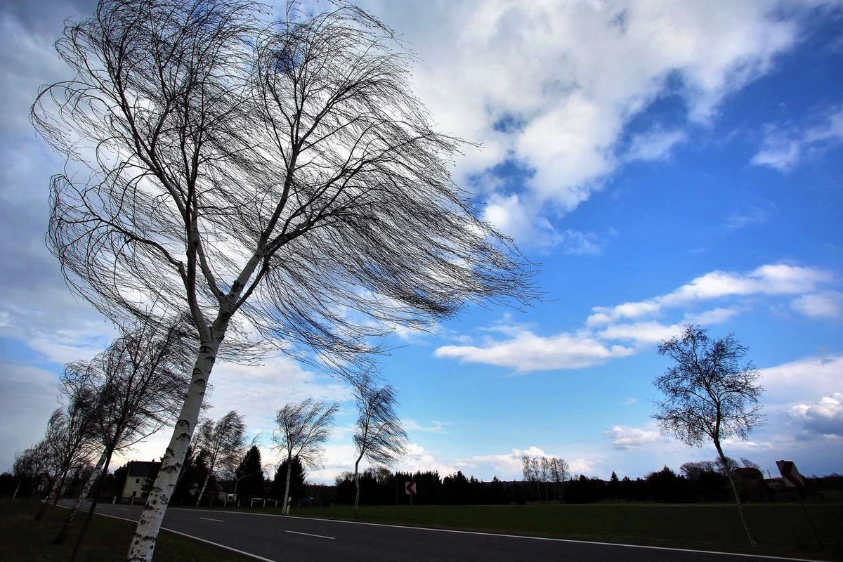 Küləkli hava davam edir - FAKTİKİ HAVA