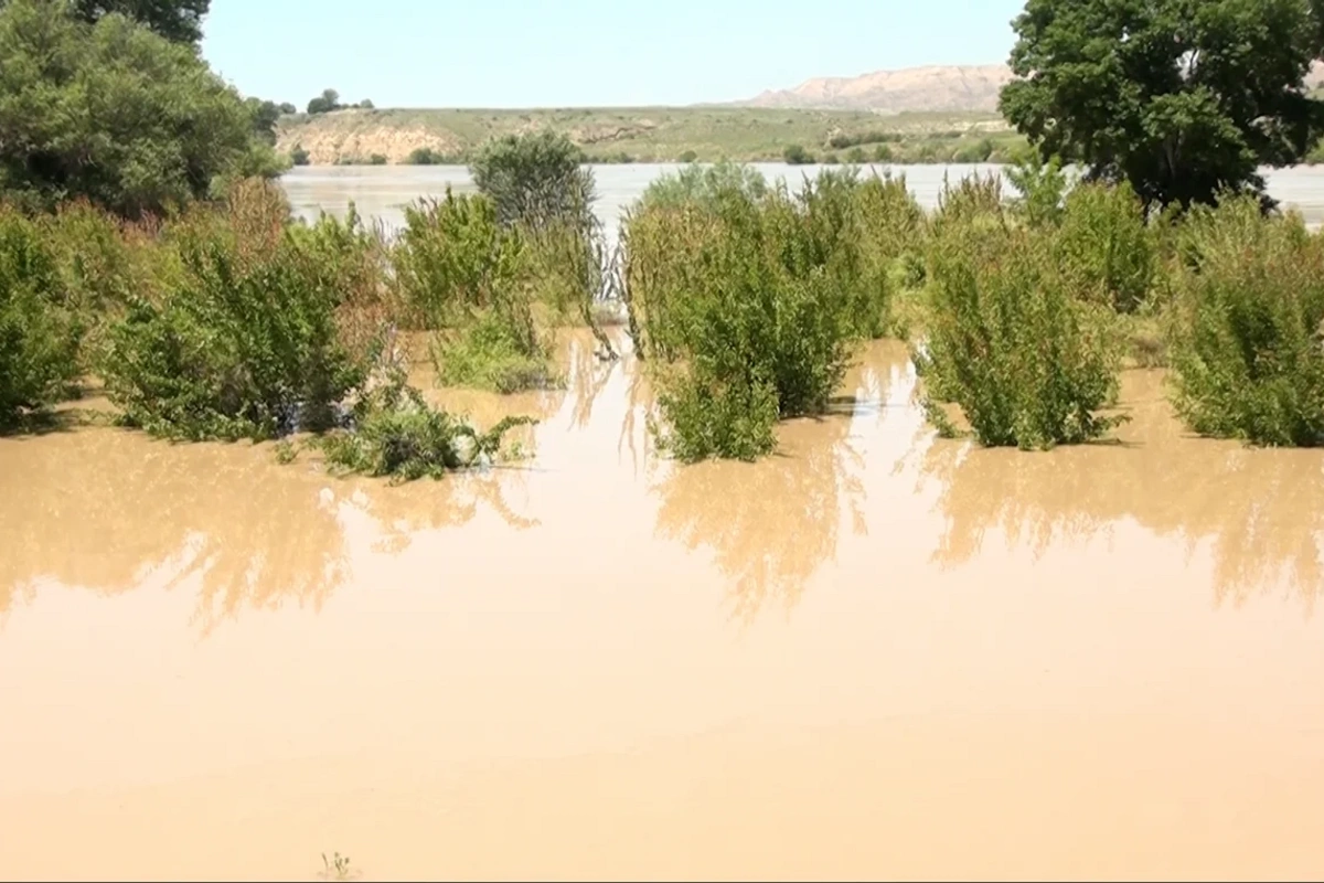 Kür çayı daşdı, evləri və əkin sahələrini su basdı - ADSEA-dan açıqlama