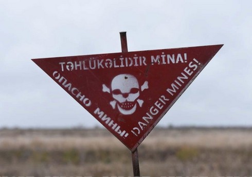 Laçında minaya düşən şəxslərdən biri ölüb, digərinin vəziyyəti qənaətbəxşdir