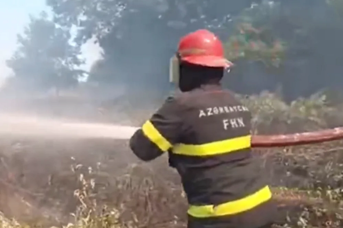 Lənkəranda açıq ərazidə baş verən yanğın söndürülüb
