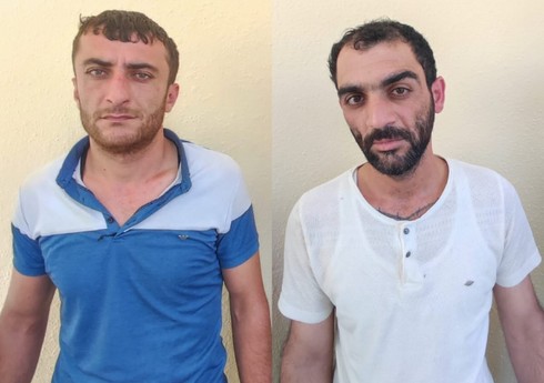 Lerikdə külli miqdarda müxtəlif növ nakotik vasitələr aşkarlanıb