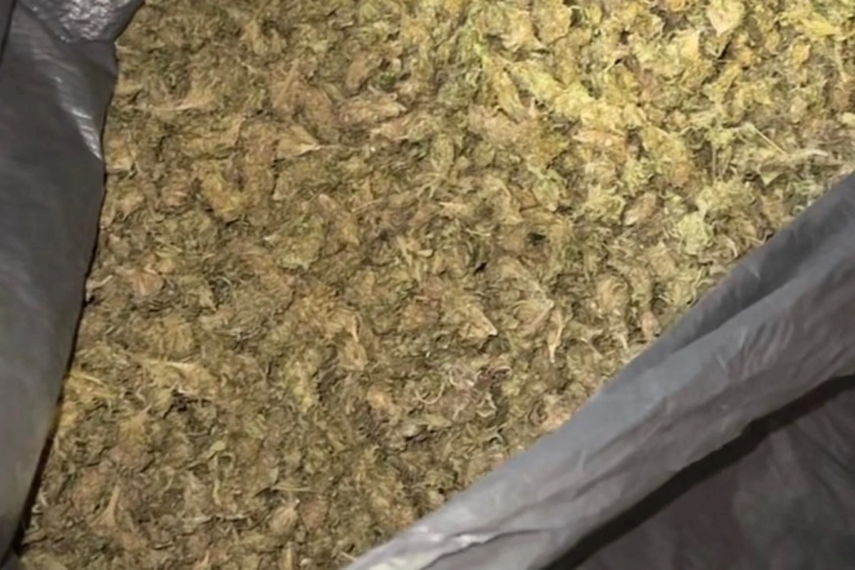 Lerikdə narkokuryerlikdə şübhəli bilinən şəxs saxlanılıb, ondan 10 kiloqram marixuana aşkarlanıb