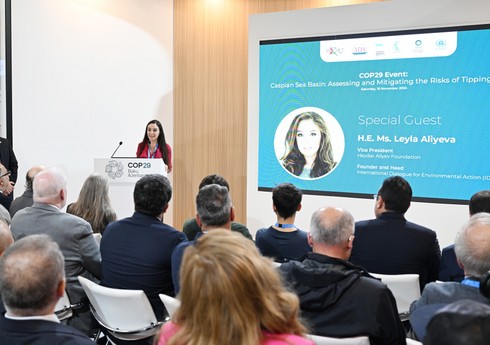 Leyla Əliyeva Xəzər dənizinin mühafizəsinə dair dəyirmi masa müzakirələrində iştirak edib