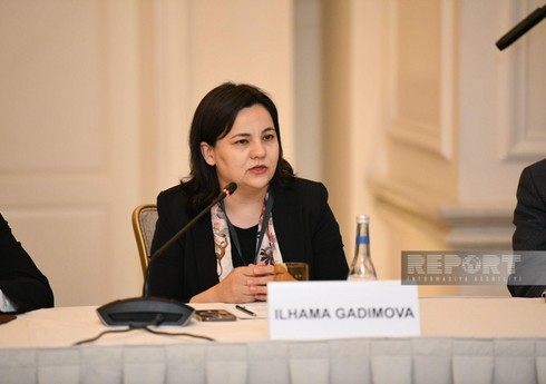 İlhamə Qədimova: “Azərbaycanda 177 min qadın fermerə dövlət dəstək verib”