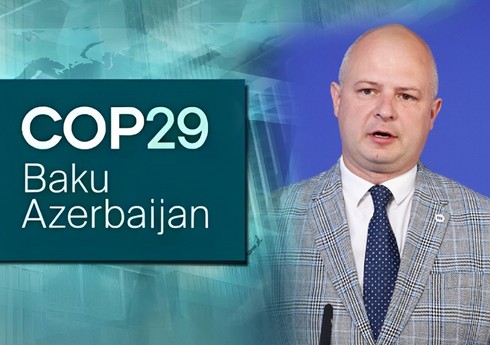 Litvalı nazir: NCQG realistik olmalı və hər bir ölkədə təsirlərin azaldılmasına yönəlməlidir