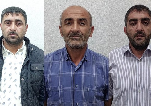 Lənkəranda meşədən mal-qara oğurlayanlar həbs edilib
