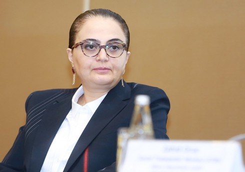 Mədəniyyət nazirinin müavini: 