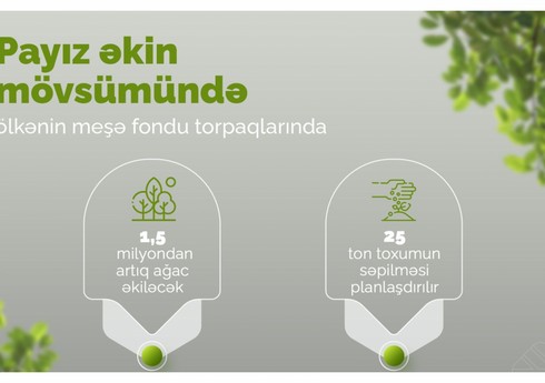 Meşə fondu torpaqlarında 1,5 milyondan çox yeni ağac əkiləcək