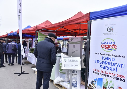 İmişlidə Aqrar Biznes Festivalı keçirilib