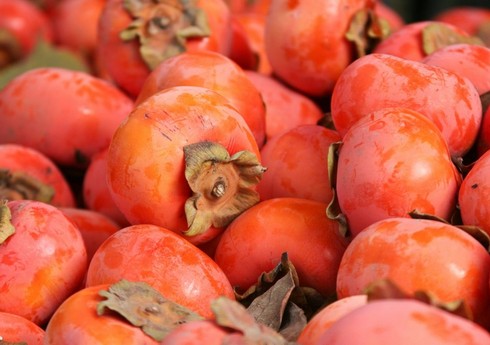 İmişlidə xurma yığımına başlanılıb, məhsul xeyli ucuzlaşıb 