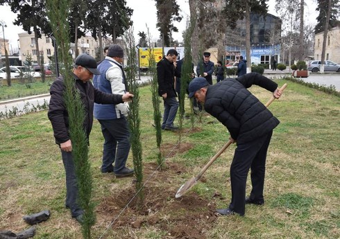 İmişlidə 