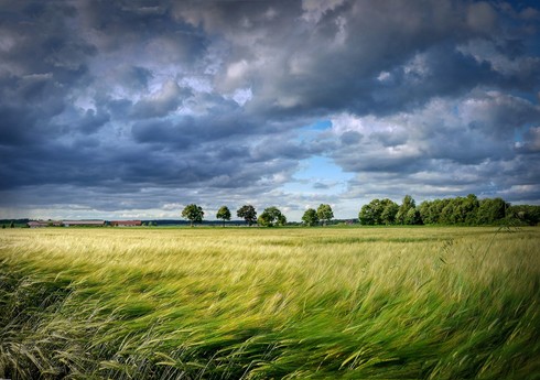 Milli Hidrometeorologiya Xidməti qeyri-sabit hava şəraiti ilə bağlı xəbərdarlıq edib
