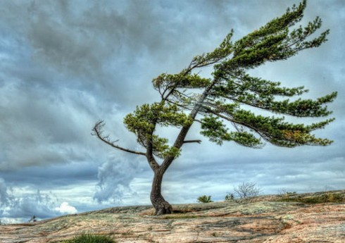 Milli Hidrometeorologiya Xidməti yenidən əhaliyə xəbərdarlıq edib