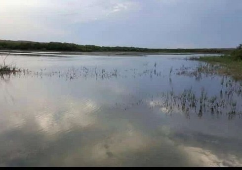 Milli parkların ərazisində mühafizə rejimini pozan şəxslər cəzalandırılıb