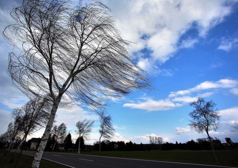 Şəmkirdə güclü külək əsir, bəzi ərazilərdə elektrik enerjisinin verilməsi dayandırılıb