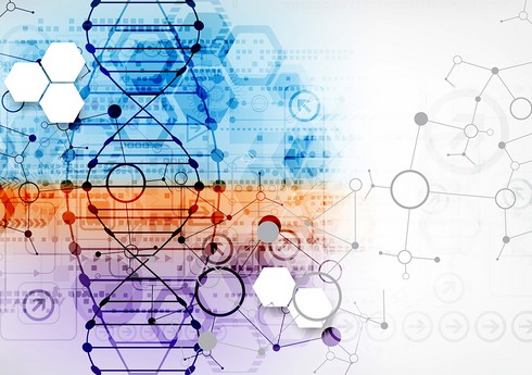 İmmunitet hüceyrələrinin qocalmasını sürətləndirən infeksiya aşkar edilib