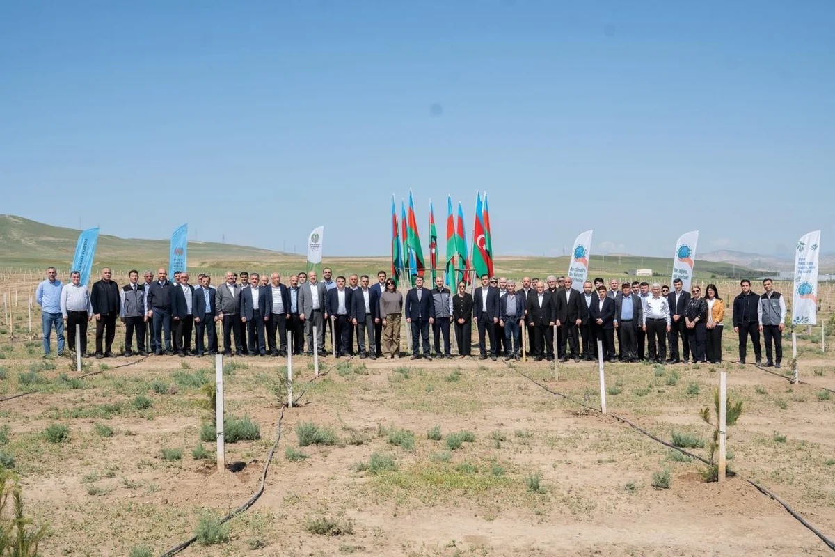 Müşfiqabadda ağacəkmə aksiyası keçirilib