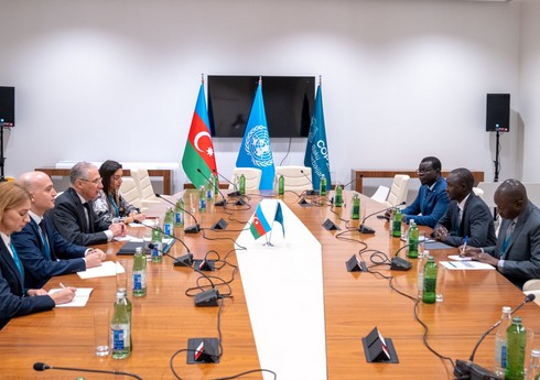 Muxtar Babayev Cənubi Sudanın su ehtiyatları və suvarma naziri ilə COP29-u müzakirə edib